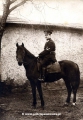 Policjant na koniu, foto Aleksandrow Kujawski.jpg